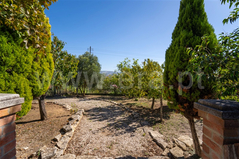 Moradia Rústica T3 com Luxo Alcobaça, Aljubarrota - 1353033 - 16