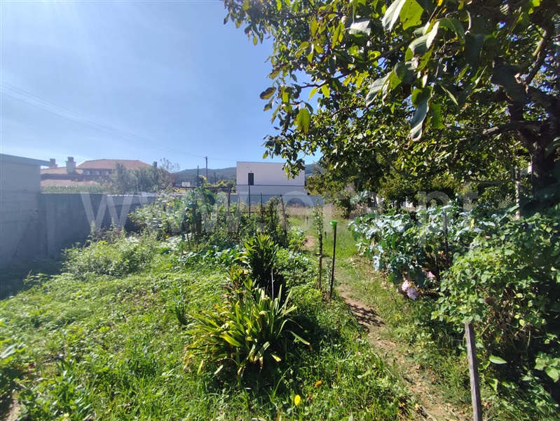 Moradia T3 à venda em Silva, Barcelos — foto 18