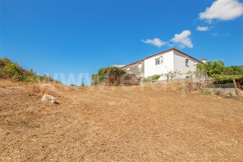 Moradia Rústica  Caminha, Argela - 1264229 - 10
