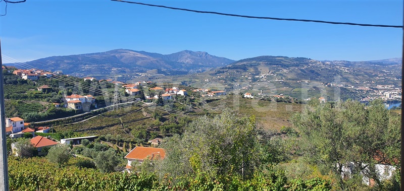 Moradia Rústica T3 Lamego, Cambres - 1354715 - 7