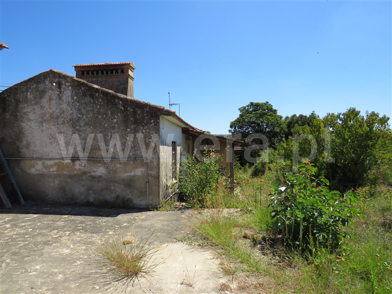 Moradia Rústica T3 Oliveira de Azeméis, Oliveira de Azeméis, Santiago de Riba-Ul, Ul, Macinhata da Seixa e Madail - 1349890 - 8