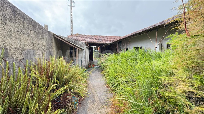 Moradia Rústica T3 Oliveira do Bairro, Palhaça - 1493359 - 18