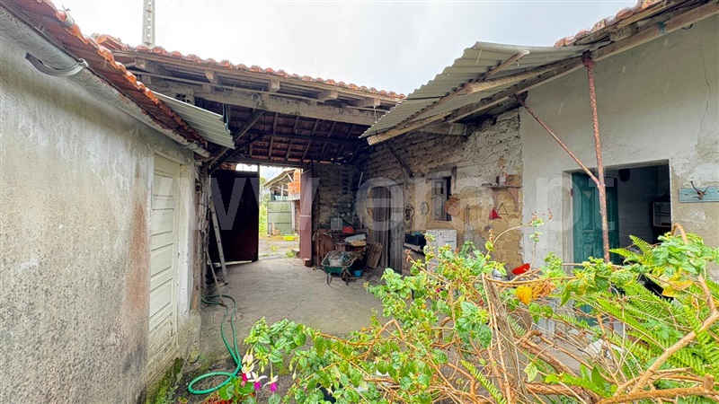 Moradia Rústica T3 Oliveira do Bairro, Palhaça - 1493359 - 20