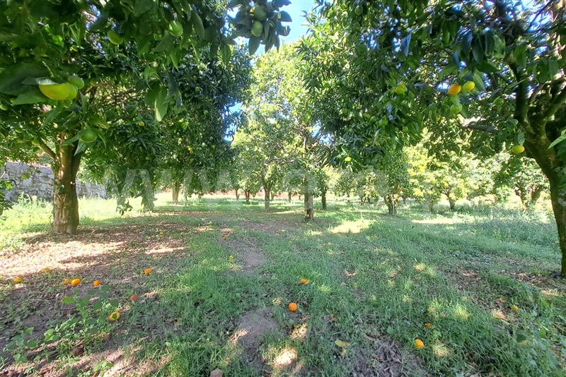 Moradia Rústica T3 Ponte de Lima, Moreira do Lima - 1494469 - 21