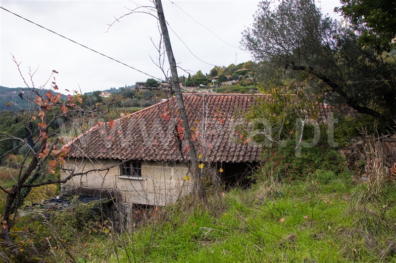 Moradia Rústica T3 / Ribeira de Pena, Cerva e Limões