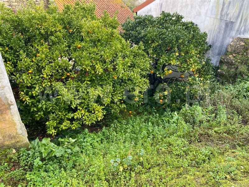 Moradia T3 à venda em Gesteira e Brunhós, Soure — foto 3