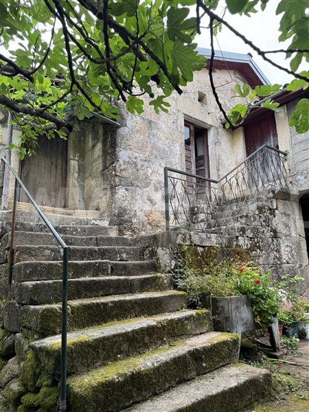 Moradia Rústica T3 com Terreno Terras de Bouro, Souto - 1478389 - 9