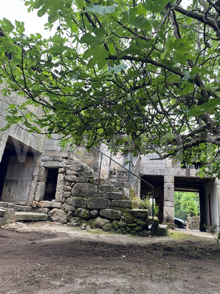 Moradia Rústica T3 com Terreno Terras de Bouro, Souto - 1478389 - 10