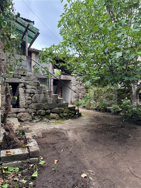 Moradia Rústica T3 com Terreno Terras de Bouro, Souto - 1478389 - 11