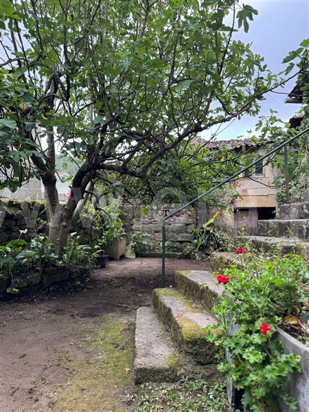Moradia Rústica T3 com Terreno Terras de Bouro, Souto - 1478389 - 23
