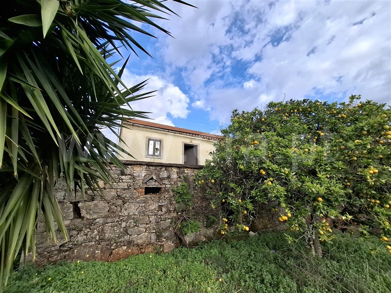 Moradia Rústica T3 / Tomar, Além da Ribeira e Pedreira