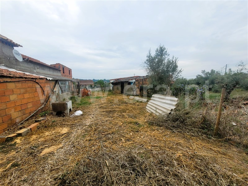 Moradia Rústica T3 Tomar, Casais e Alviobeira - 1367376 - 1