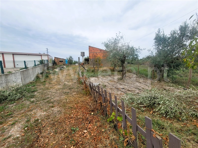 Moradia Rústica T3 Tomar, Casais e Alviobeira - 1367376 - 3
