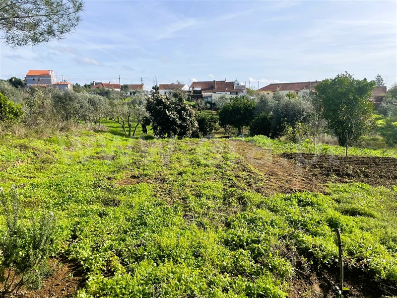 Moradia T3 à venda em Serra e Junceira, Tomar — foto 13