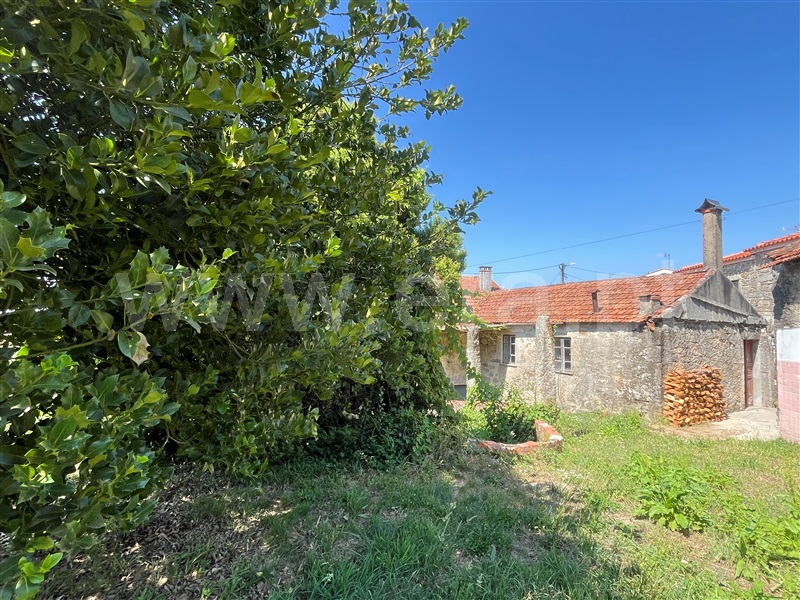 Moradia Rústica T3 com Anexo Vale de Cambra, Cepelos - 1347717 - 8