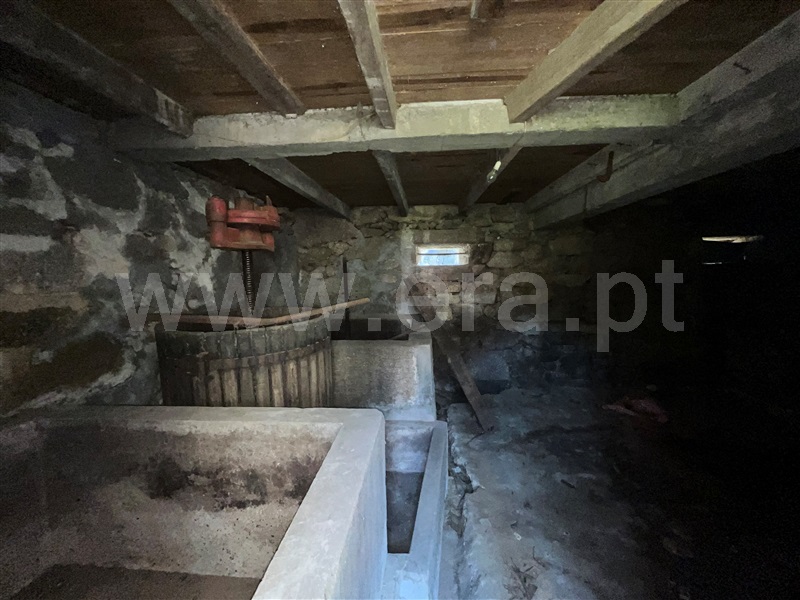 Moradia Rústica T3 com Anexo Vale de Cambra, Cepelos - 1347717 - 24