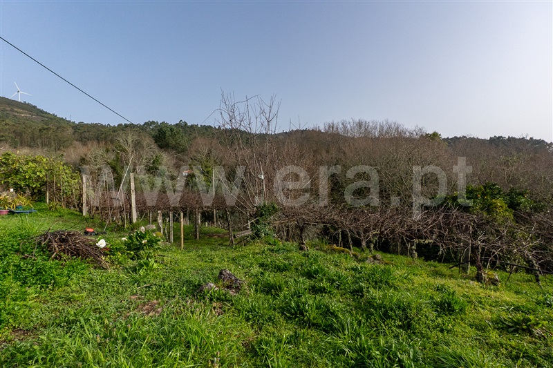 Moradia T3 à venda em Covas, Vila Nova de Cerveira — foto 5