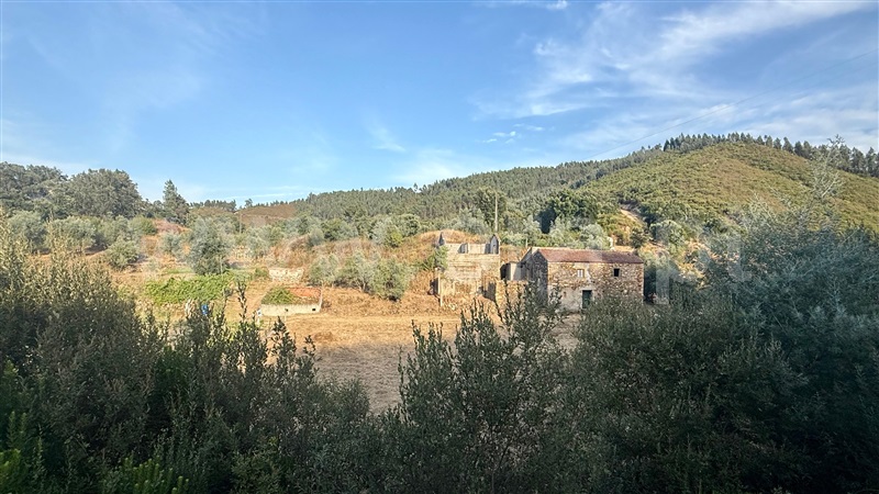 Moradia Rústica T3 Vila Nova de Poiares, Lavegadas - 1499467 - 1