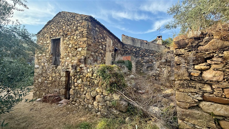 Moradia Rústica T3 / Vila Nova de Poiares, Poiares