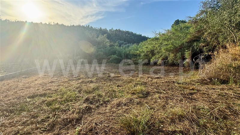 Moradia Rústica T3 Vila Nova de Poiares, Lavegadas - 1499467 - 18