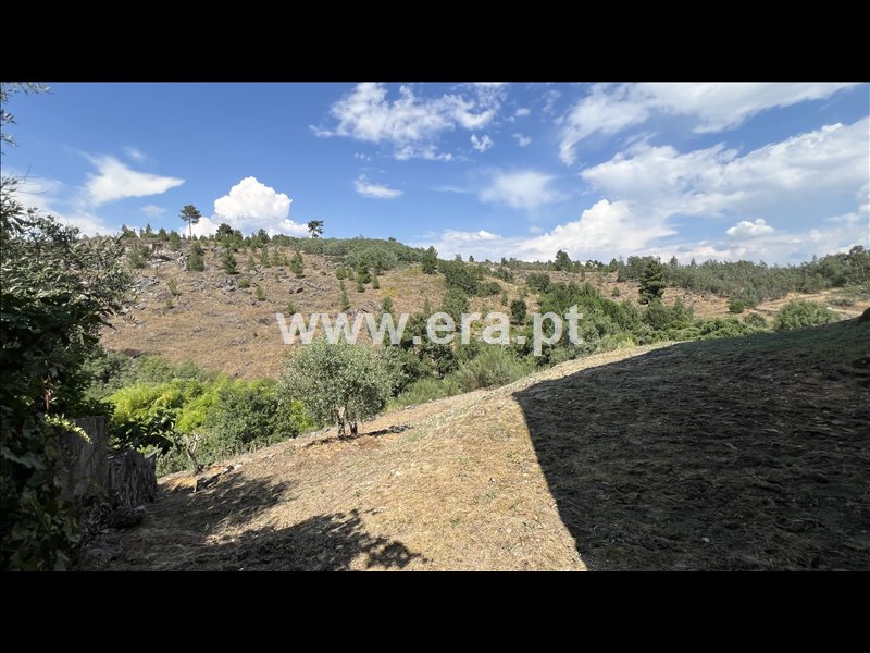 Moradia T4 à venda em Cativelos, Gouveia — foto 11