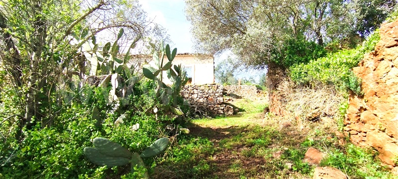 Moradia T4 à venda em Querença, Tôr e Benafim, Loulé — foto 3
