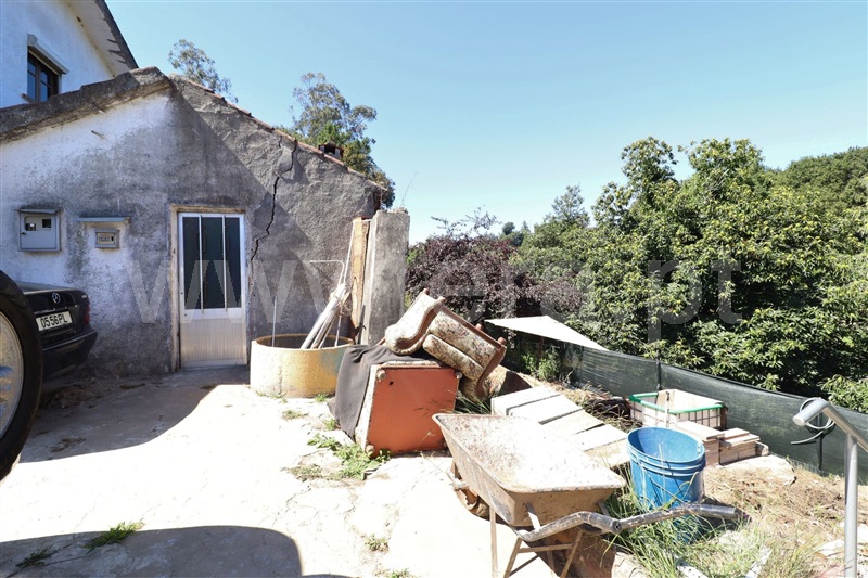 Moradia Rústica  Oliveira de Azeméis, Vila de Cucujães - 1500886 - 16