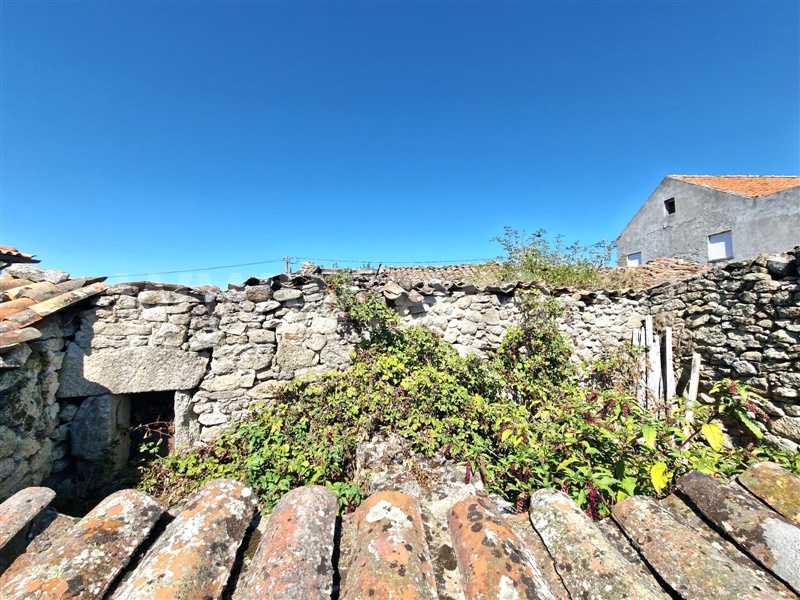 Moradia T4 à venda em Pomares, Pinhel, Pinhel — foto 5