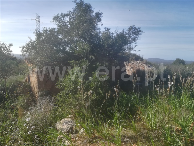 Moradia Rústica T2 Silves, Tunes - 1074754 - 3