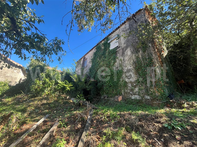 Moradia Rústica T4 com Anexo Vale de Cambra, Cepelos - 1498524 - 16