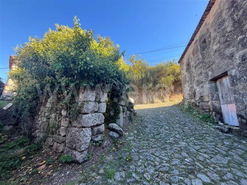 Moradia Rústica T4 com Anexo Vale de Cambra, Cepelos - 1498524 - 20