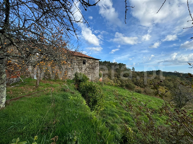 Moradia Rústica T4 Vale de Cambra, Junqueira - 1402073 - 66