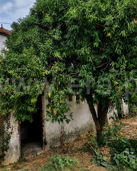 Moradia T4 à venda em Bornes de Aguiar, Vila Pouca de Aguiar — foto 15