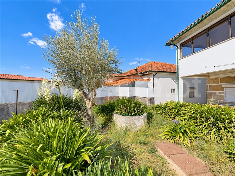 Moradia T4 à venda em Folhadela, Vila Real — foto 13