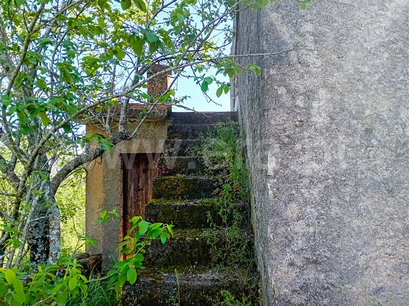 Moradia Rústica  Tomar, Além da Ribeira e Pedreira - 1400925 - 3