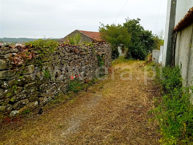 Moradia Rústica  Tomar, Além da Ribeira e Pedreira - 1400925 - 4