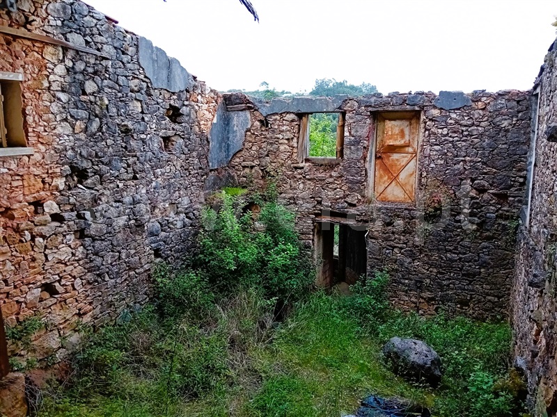 Moradia Rústica  Tomar, Além da Ribeira e Pedreira - 1400925 - 5