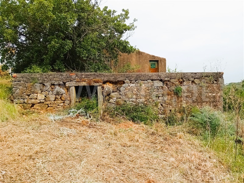 Moradia Rústica  Tomar, Além da Ribeira e Pedreira - 1400925 - 6