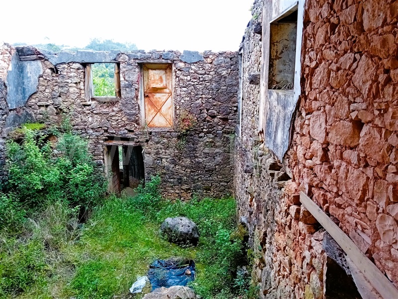 Moradia Rústica  Tomar, Além da Ribeira e Pedreira - 1400925 - 7