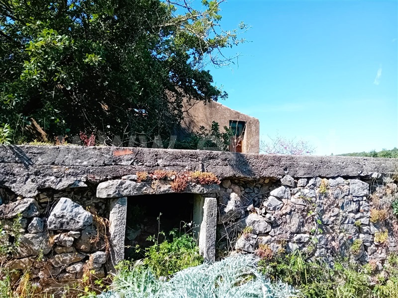 Moradia Rústica  Tomar, Além da Ribeira e Pedreira - 1400925 - 8