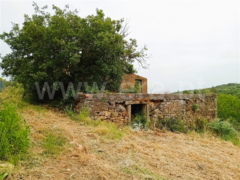 Moradia Rústica  Tomar, Além da Ribeira e Pedreira - 1400925 - 10