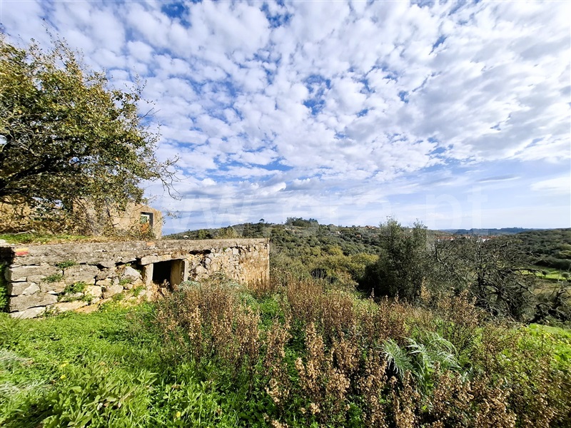 Moradia Rústica  Tomar, Além da Ribeira e Pedreira - 1400925 - 15