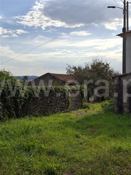 Moradia Rústica  Tomar, Além da Ribeira e Pedreira - 1400925 - 16