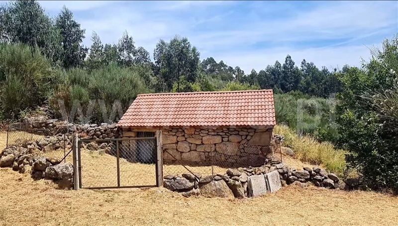 Moradia Rústica / Tondela, Caparrosa e Silvares