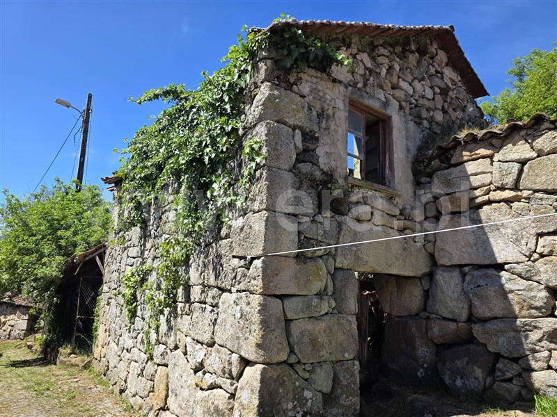 Moradia Rústica / Tondela, Caparrosa e Silvares