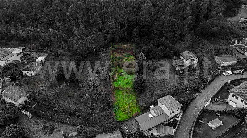 House in Trofa - View 4