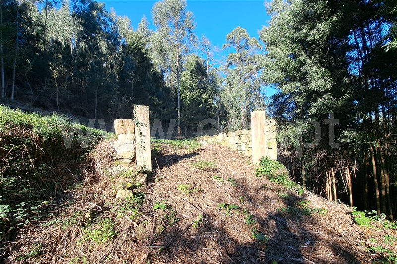 Moradia Rústica  Viana do Castelo, Geraz do Lima (Santa Maria, Santa Leocádia e Moreira) e Deão - 1445863 - 7