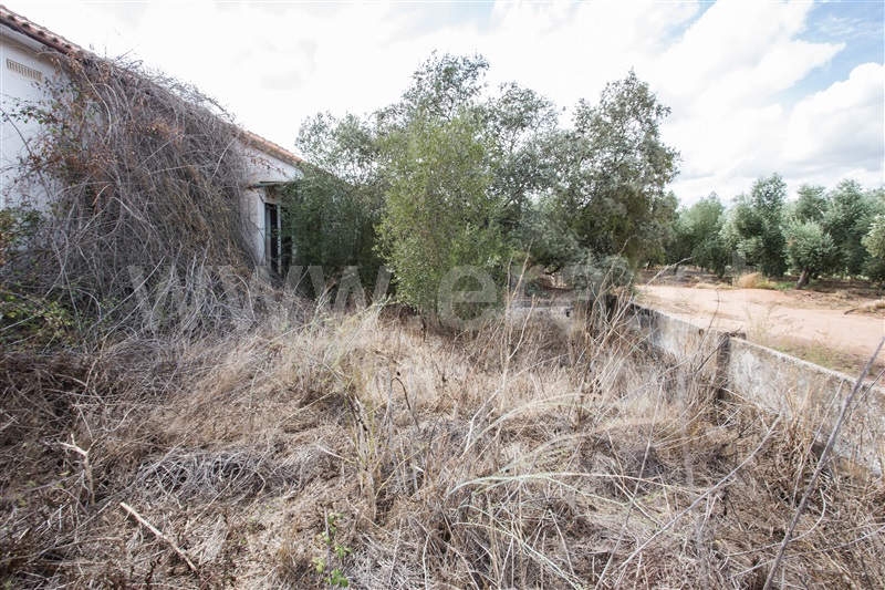 Moradia  Santiago do Cacém, Alvalade - 1352977 - 10