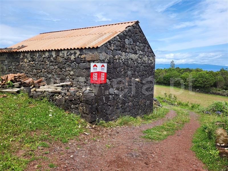 Moradia / São Roque do Pico, Prainha