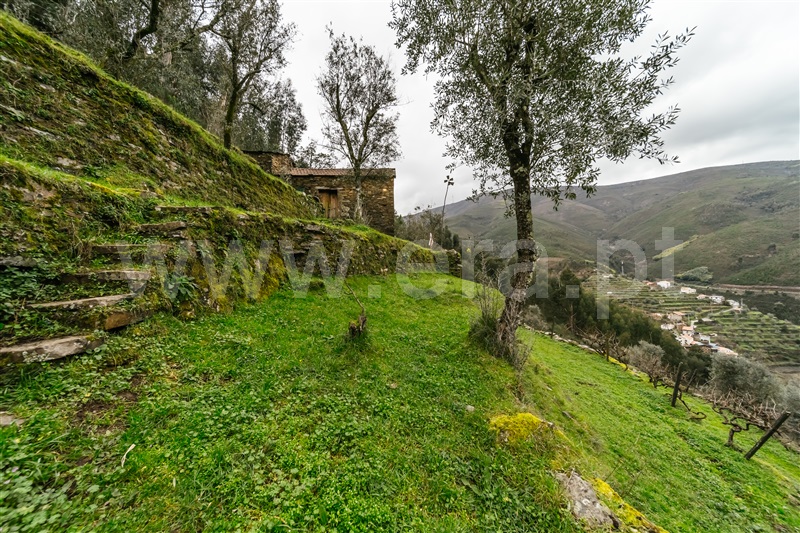 Moradia  Seia, Seia, São Romão e Lapa dos Dinheiros - 1441317 - 10